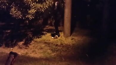 Suegro Destroys Infiel Nuera Bubble Butt Cum Gush Outdoors