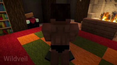 Dark haired girl railed hard in Minecraft fuck animation