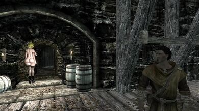 Andrea the Succubus Gobbles His Cock While Exploring Skyrim