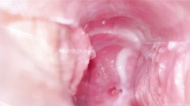 Giantess Cervix Gapes Shrinking Man Unbirth Vore Breeding