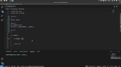 Ukranian coder overflowed by brutal copy
